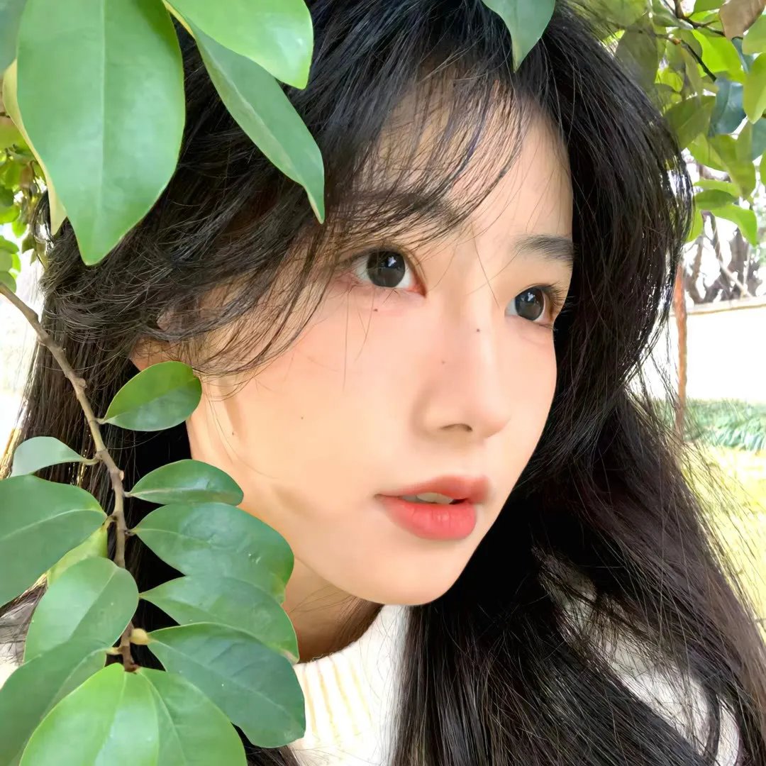 真正的正义4